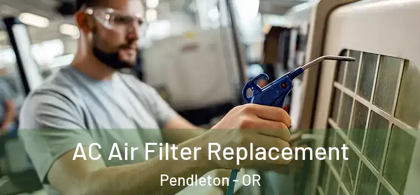  AC Air Filter Replacement Pendleton - OR