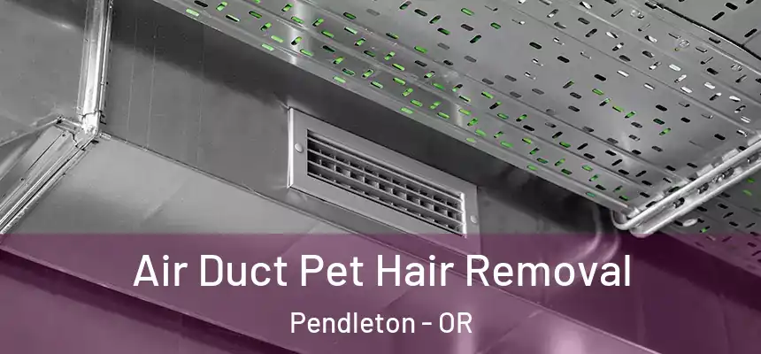  Air Duct Pet Hair Removal Pendleton - OR