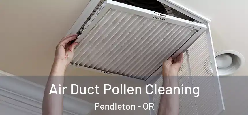  Air Duct Pollen Cleaning Pendleton - OR