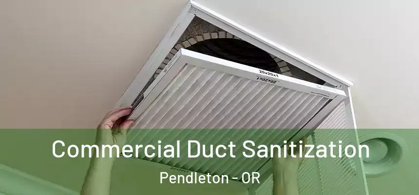  Commercial Duct Sanitization Pendleton - OR