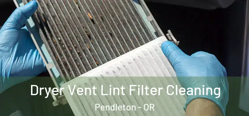  Dryer Vent Lint Filter Cleaning Pendleton - OR