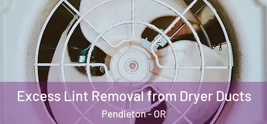  Excess Lint Removal from Dryer Ducts Pendleton - OR