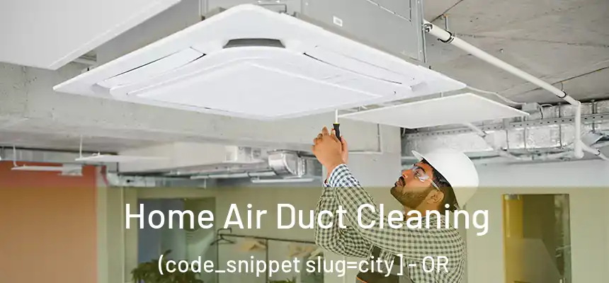  Home Air Duct Cleaning (code_snippet slug=city] - OR