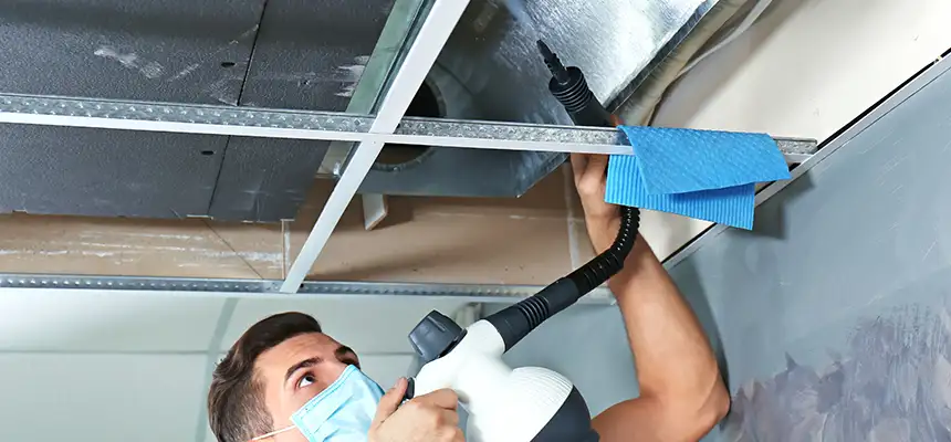 Our Air Duct Rodent Removal Services in Pendleton, OR