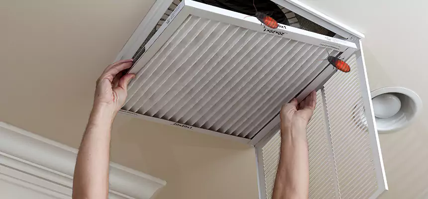 Our Insect Removal from Air Ducts Services in Pendleton, OR