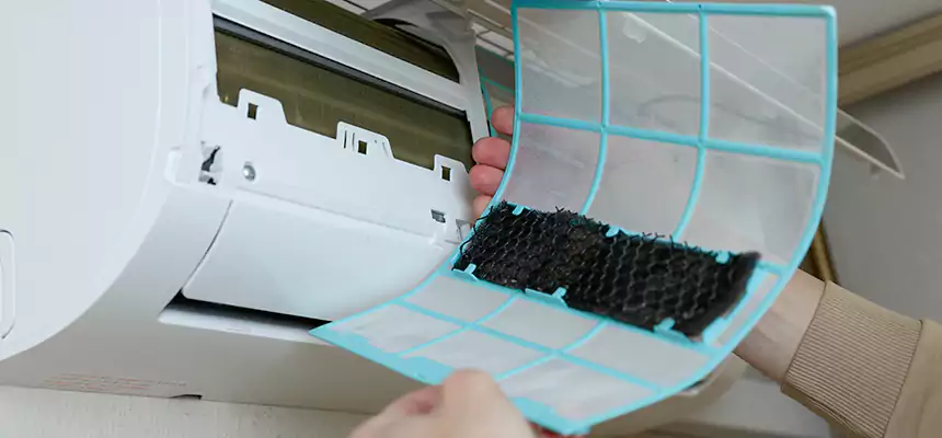 Gentle Ductwork Odor-Control Pet Dander Duct Cleaning in Pendleton, OR