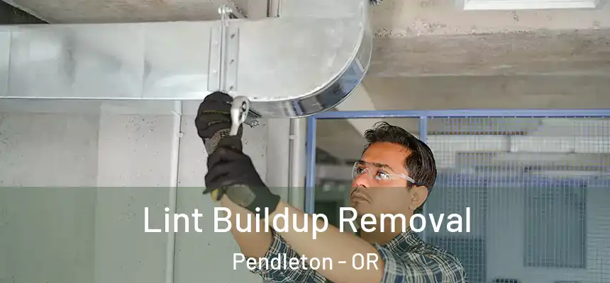  Lint Buildup Removal Pendleton - OR
