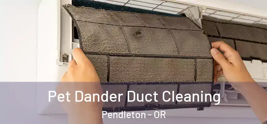  Pet Dander Duct Cleaning Pendleton - OR