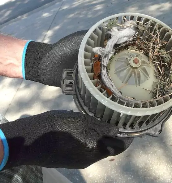 About Air Duct Rat Removal in Pendleton, OR