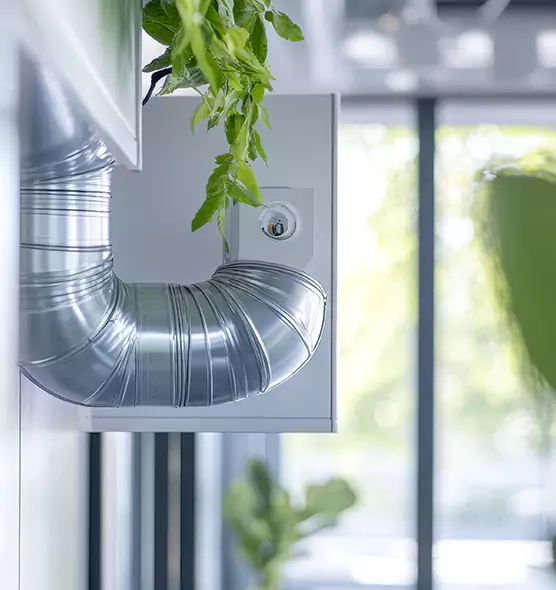 Professional Eco-Safe Dryer Vent Cleaning in Pendleton, OR