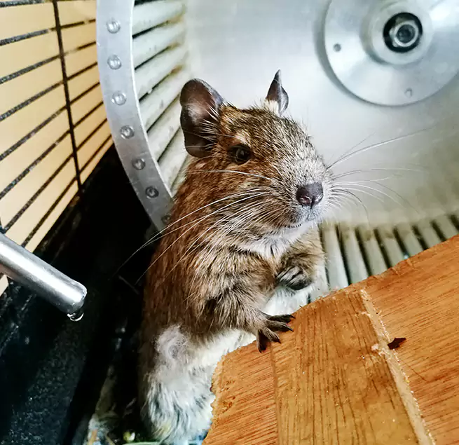 Why Homeowners & Businesses Trust Us Pendleton, OR