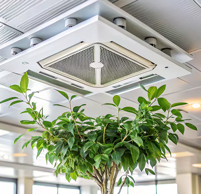 Why Homeowners & Businesses Trust Us in Pendleton, OR?