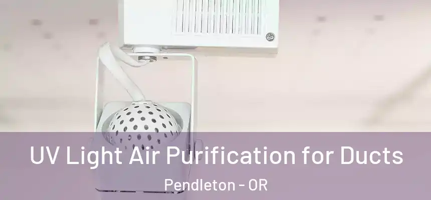  UV Light Air Purification for Ducts Pendleton - OR
